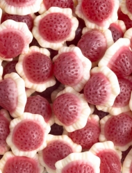 VIDAL BARATT.PZ.75 LISCI FRAGOLA PANNA RIPIENA